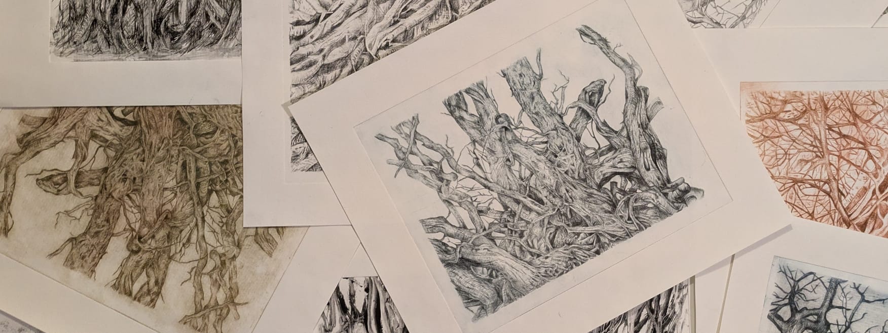 Scattered artworks by Samantha Foster