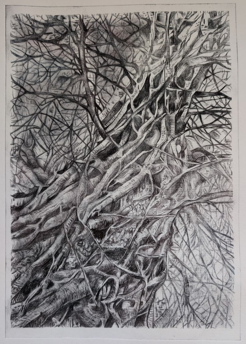 Entwined (2025) drypoint etching