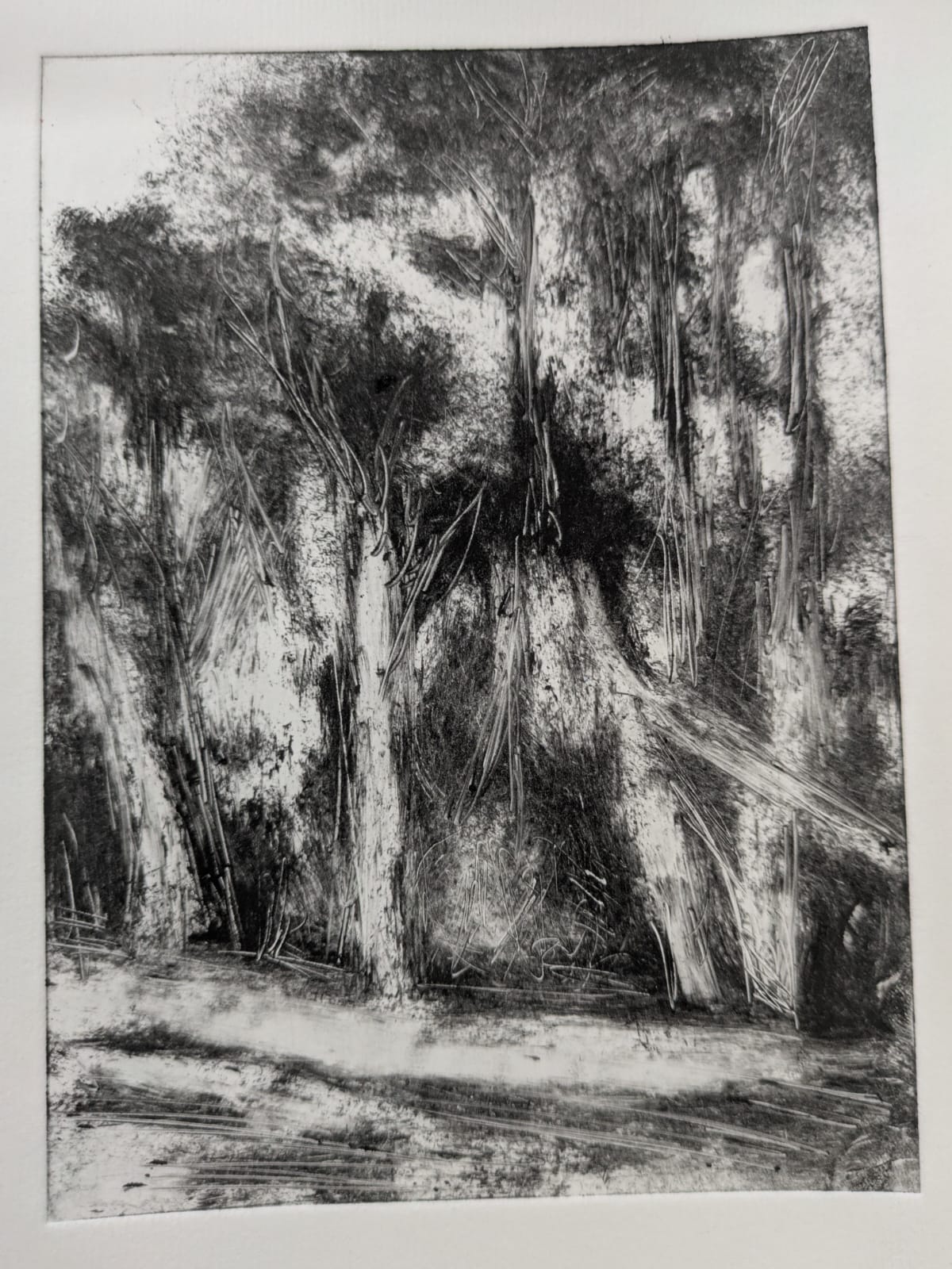 Forest Impressions (2025) monotype